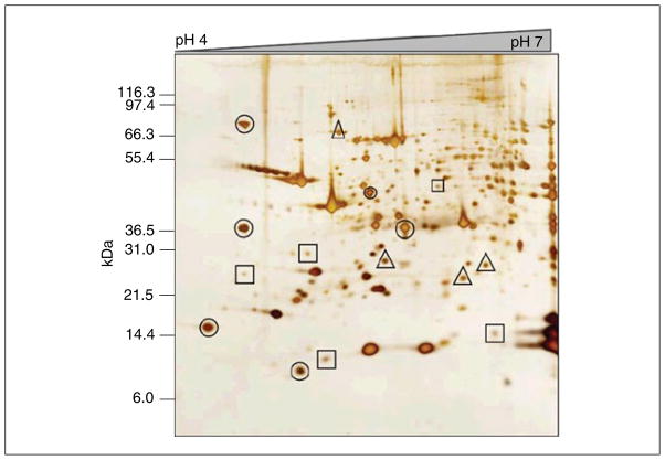 Figure 10.25.3