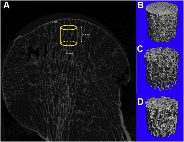 Fig. 1