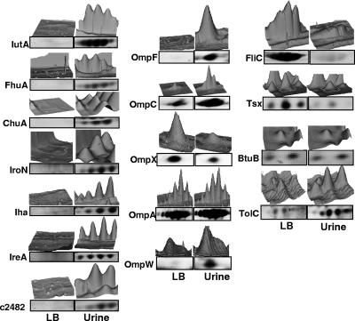 FIG. 4.