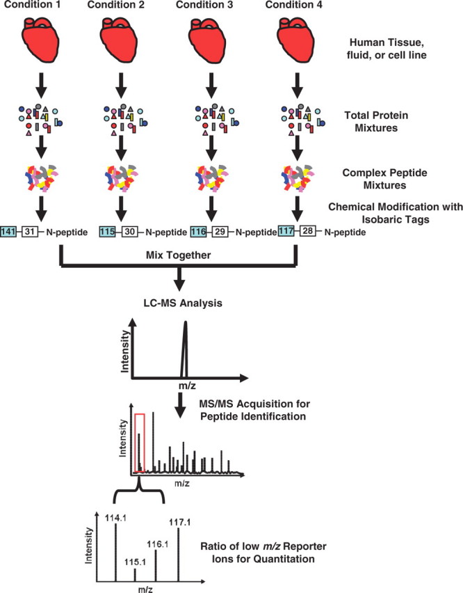 Figure 4: