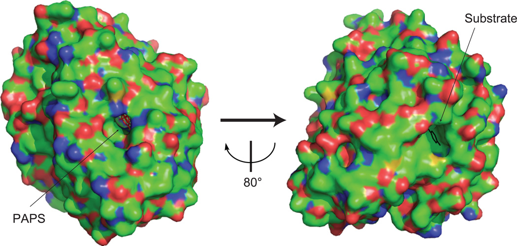 Figure.3