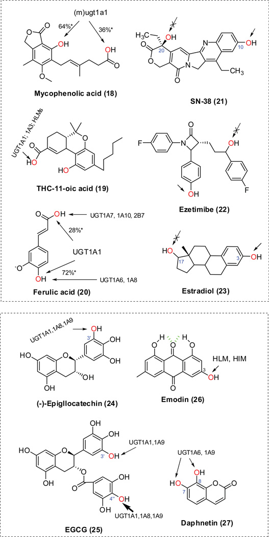 Figure.6