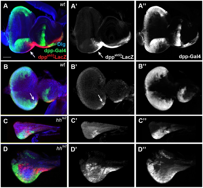 Fig 6