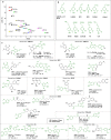 Figure 40