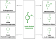 Figure 29