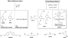 Figure 34