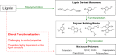 Figure 30
