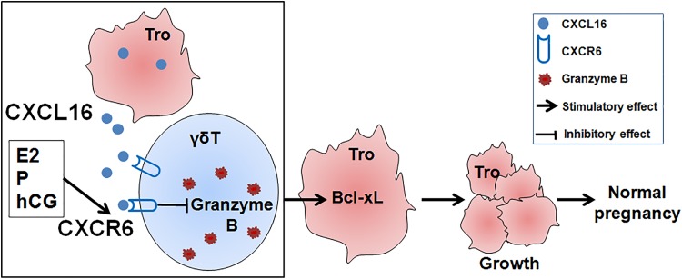 Figure 7.