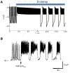 Figure 9: