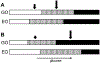 Figure 12: