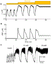 Figure 13:
