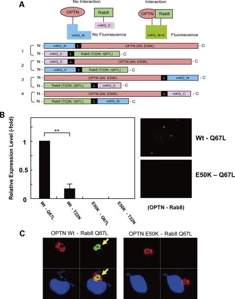 Figure 6.