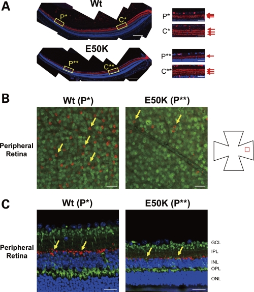 Figure 3.