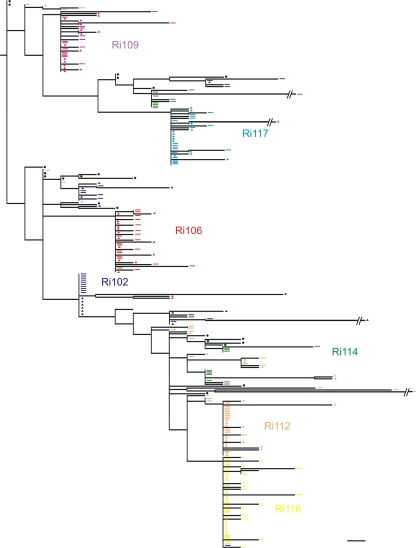 Fig. 6.