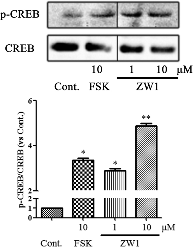 Figure 6