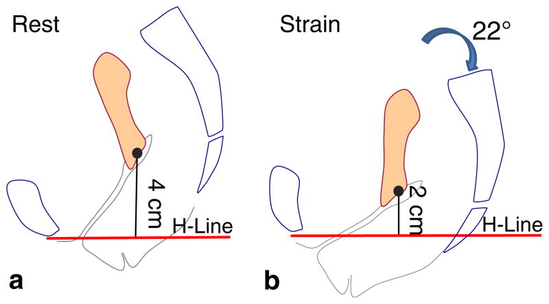 Fig 5