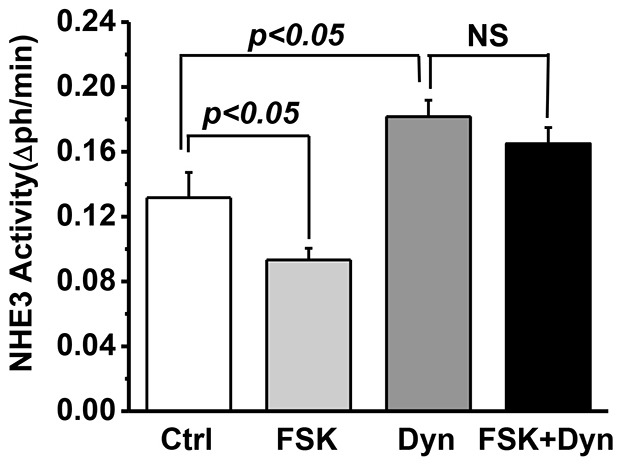 Fig. 8.