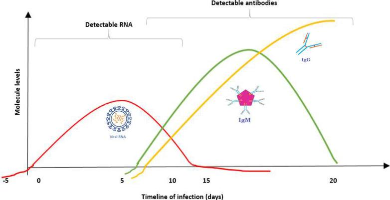 FIG. 1.