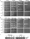 FIG. 3.