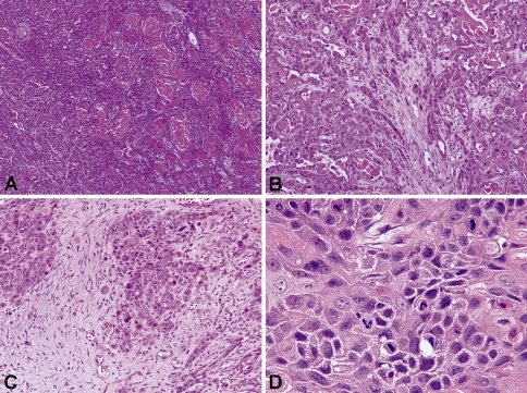 Fig. 2