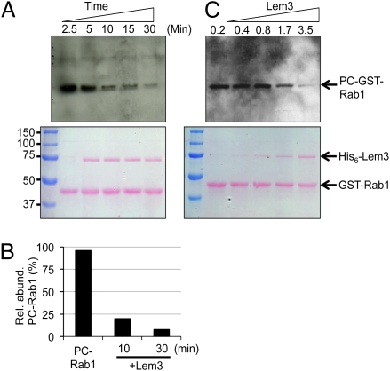 Fig. 6.