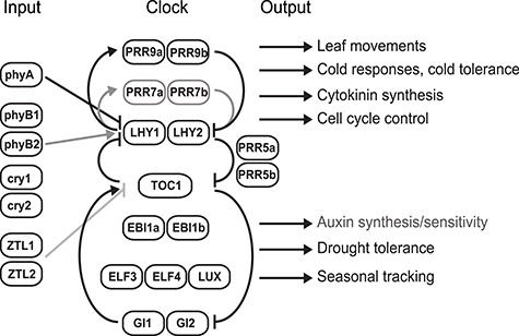 Figure 2.