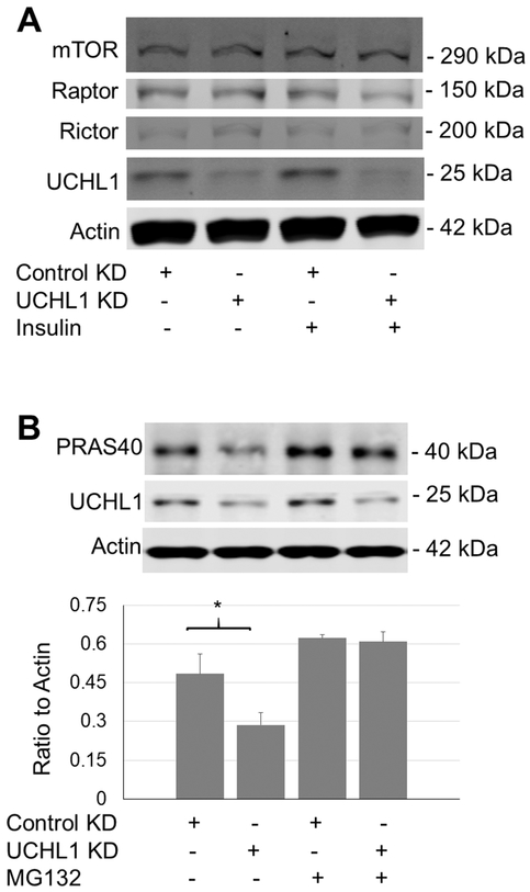 Figure 6: