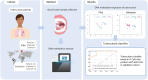 Graphical Abstract