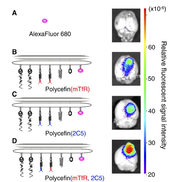 Fig. 3