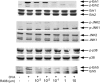 <b>Figure 4.</b>