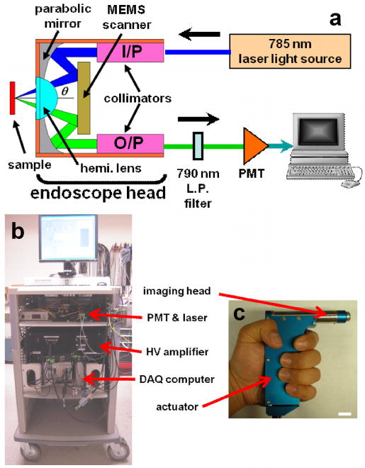 Fig. 10