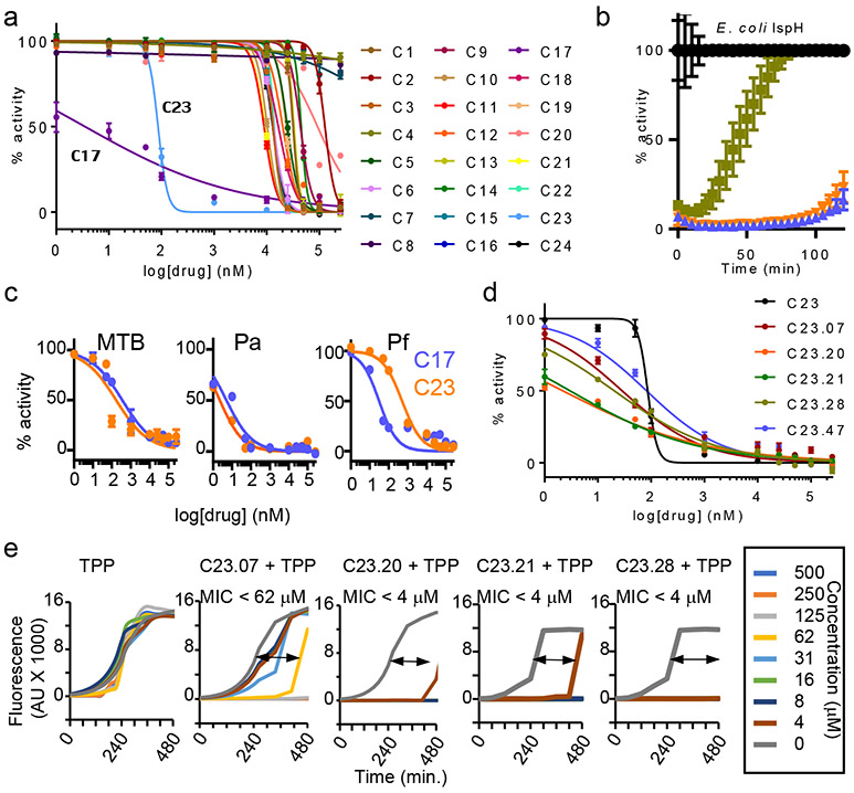 Figure 2: