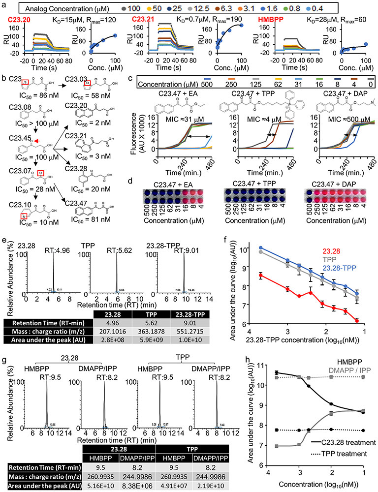 Extended Data Figure 4: