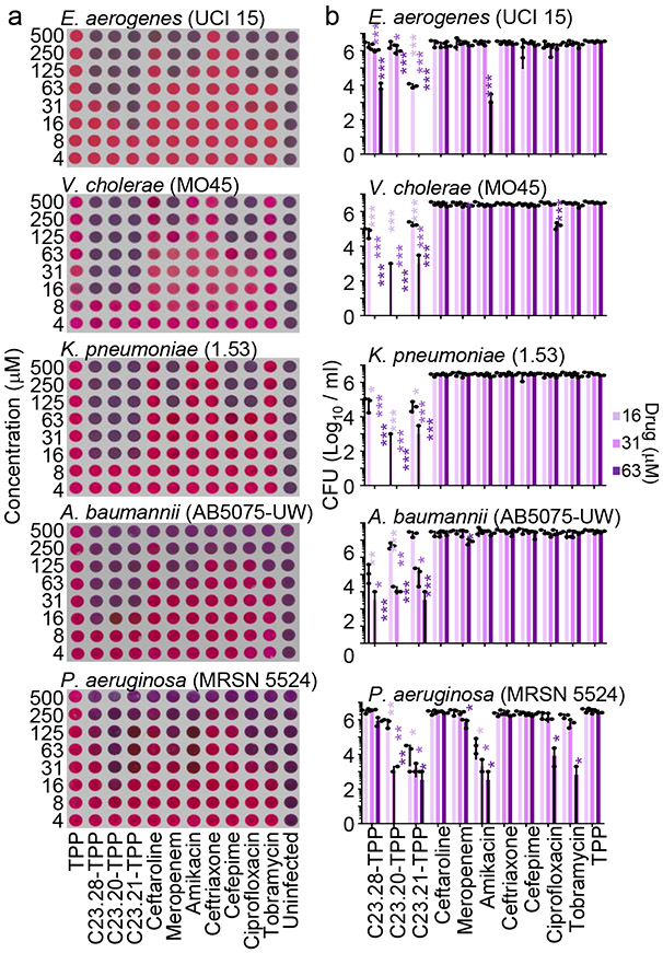 Figure 3: