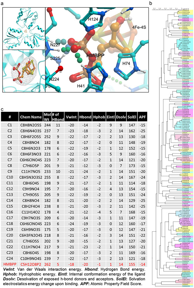 Extended Data Figure 2: