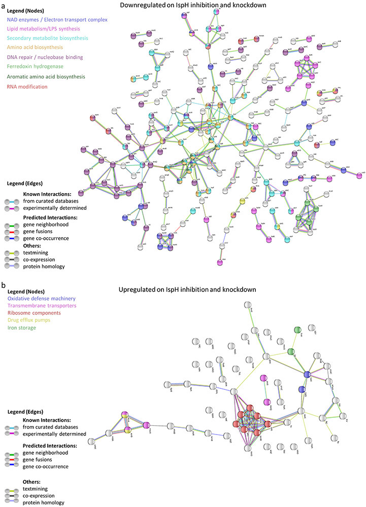 Extended Data Figure 9: