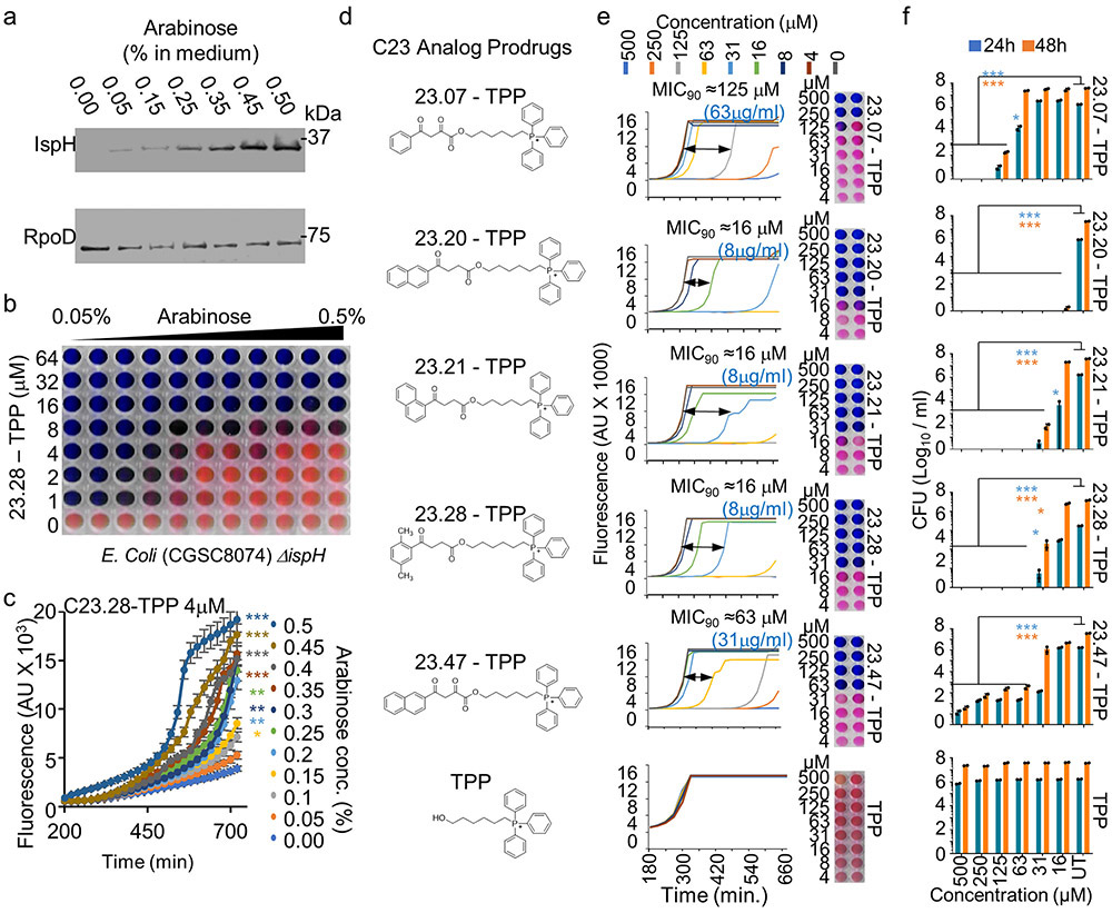 Extended Data Figure 5: