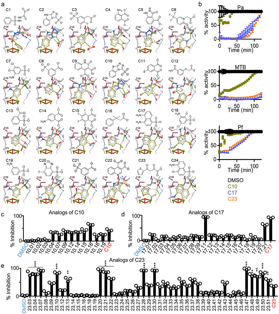 Extended Data Figure 3: