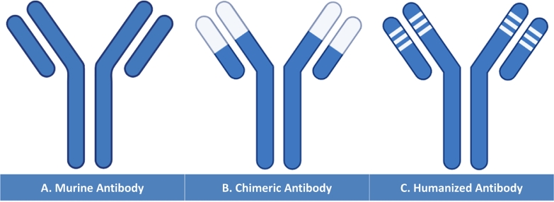 Fig 2: