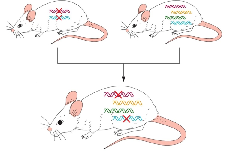 Fig 3: