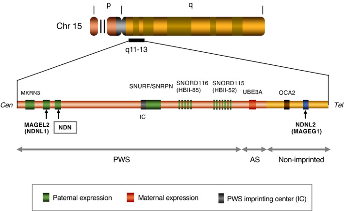 FIGURE 6