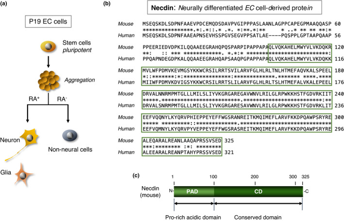 FIGURE 1