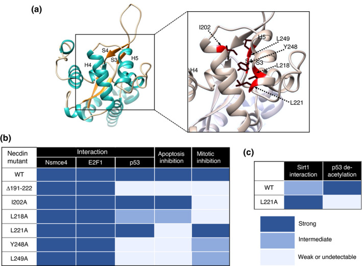 FIGURE 28