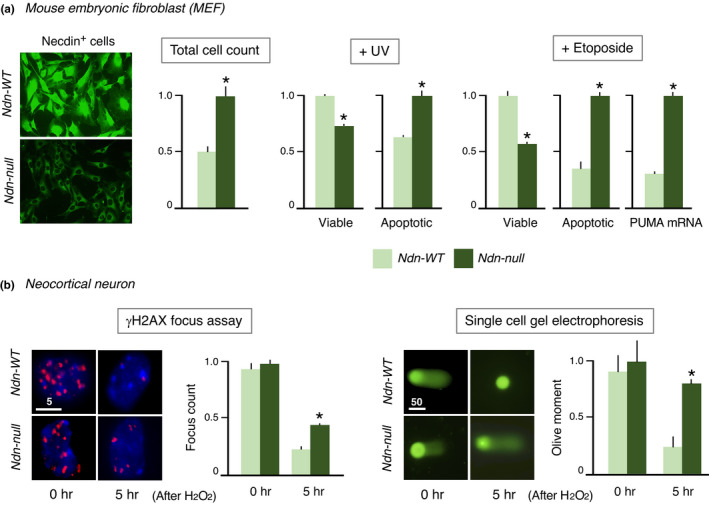 FIGURE 14