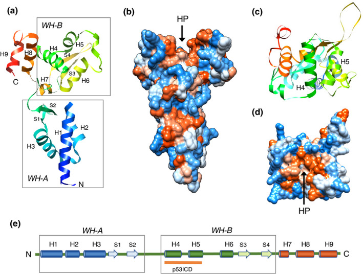 FIGURE 27