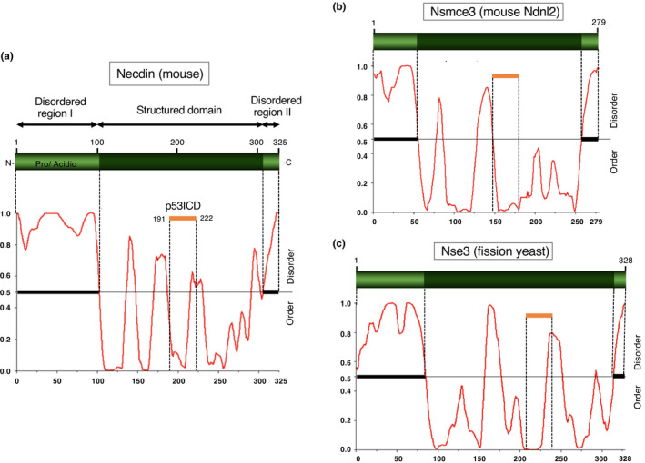 FIGURE 26