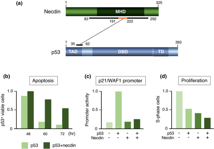 FIGURE 15