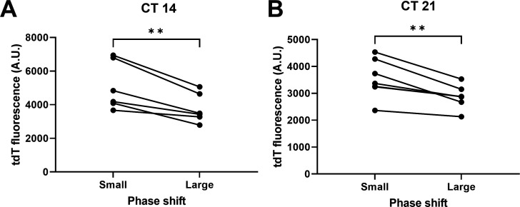 Figure 6—figure supplement 1.