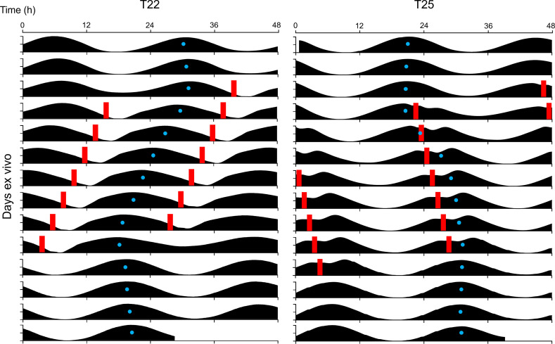 Figure 3—figure supplement 3.