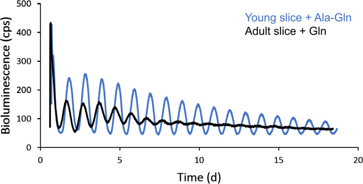 Figure 1—figure supplement 1.